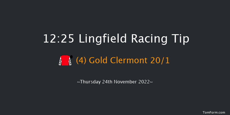 Lingfield 12:25 Handicap Hurdle (Class 5) 23f Sat 19th Nov 2022
