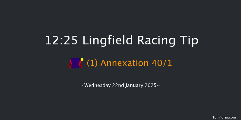 Lingfield  12:25 Handicap (Class 5) 10f Sat 18th Jan 2025