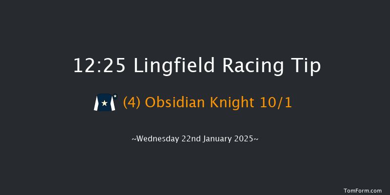 Lingfield  12:25 Handicap (Class 5) 10f Sat 18th Jan 2025