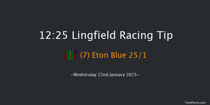 Lingfield  12:25 Handicap (Class 5) 10f Sat 18th Jan 2025