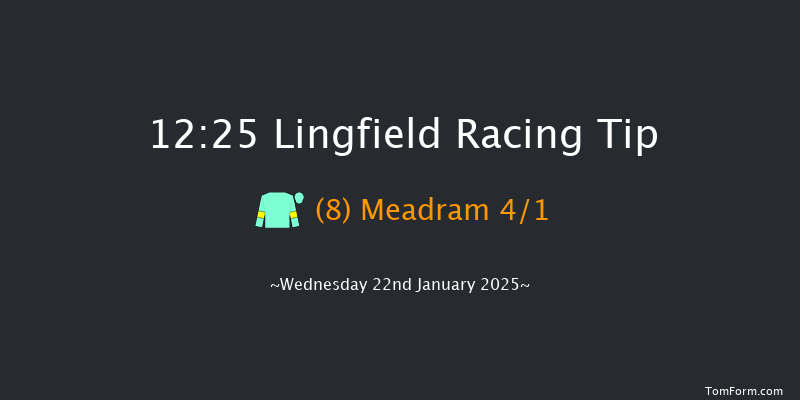 Lingfield  12:25 Handicap (Class 5) 10f Sat 18th Jan 2025