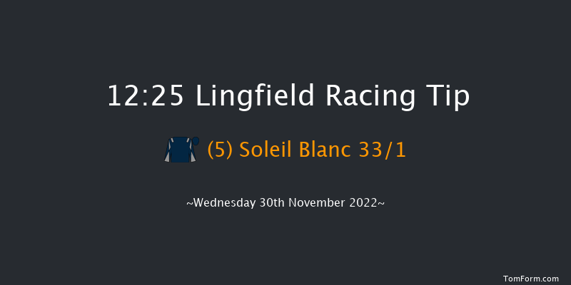 Lingfield 12:25 Handicap (Class 6) 7f Tue 29th Nov 2022