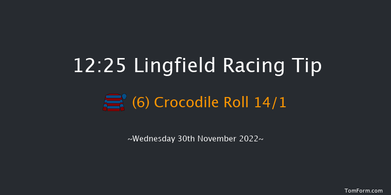 Lingfield 12:25 Handicap (Class 6) 7f Tue 29th Nov 2022