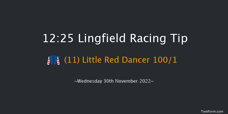 Lingfield 12:25 Handicap (Class 6) 7f Tue 29th Nov 2022