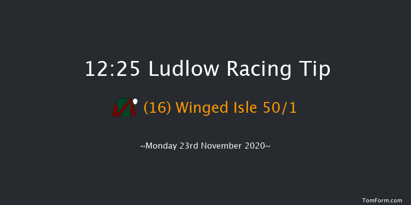 Ludlow Brewery John Walters Maiden Hurdle (GBB Race) Ludlow 12:25 Maiden Hurdle (Class 4) 16f Thu 12th Nov 2020