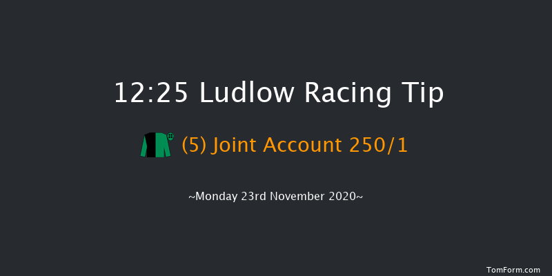 Ludlow Brewery John Walters Maiden Hurdle (GBB Race) Ludlow 12:25 Maiden Hurdle (Class 4) 16f Thu 12th Nov 2020