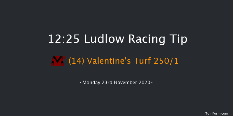 Ludlow Brewery John Walters Maiden Hurdle (GBB Race) Ludlow 12:25 Maiden Hurdle (Class 4) 16f Thu 12th Nov 2020