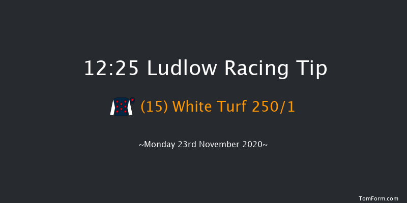 Ludlow Brewery John Walters Maiden Hurdle (GBB Race) Ludlow 12:25 Maiden Hurdle (Class 4) 16f Thu 12th Nov 2020