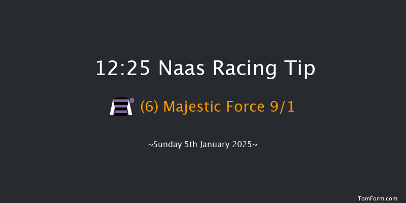 Naas  12:25 Beginners Chase 20f Mon 16th Dec 2024