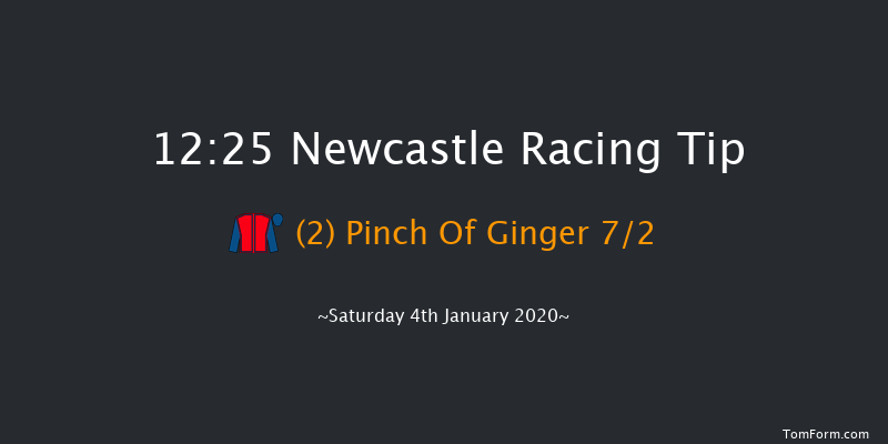 Newcastle 12:25 Handicap Chase (Class 5) 20f Sat 21st Dec 2019
