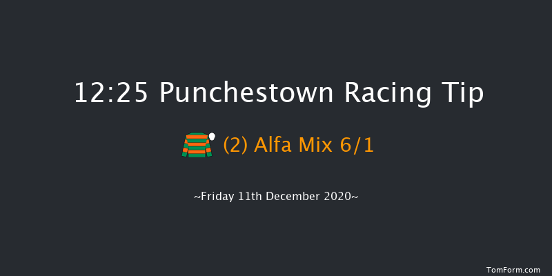 GAIN Supporting Laois GAA Beginners Chase Punchestown 12:25 Maiden Chase 16f Tue 8th Dec 2020