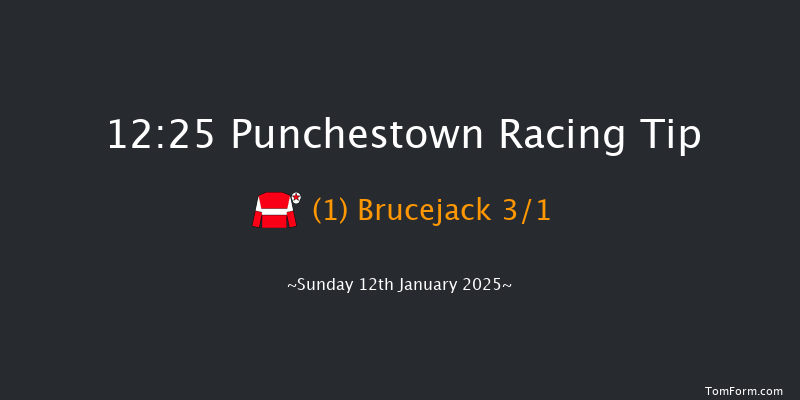 Punchestown  12:25 Beginners Chase 23f Tue 31st Dec 2024