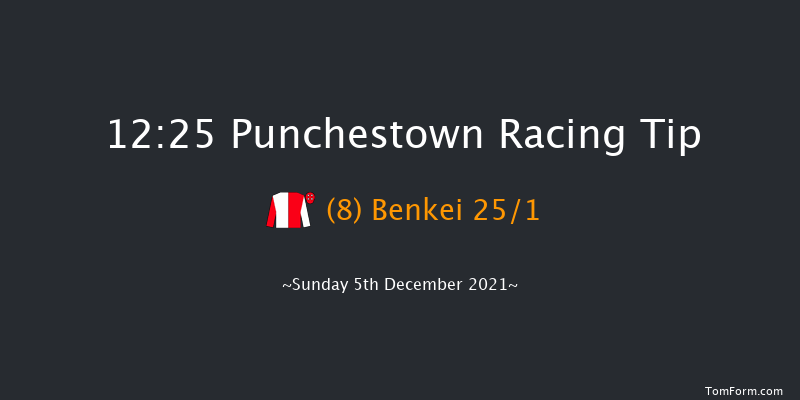 Punchestown 12:25 Handicap Hurdle 19f Tue 23rd Nov 2021