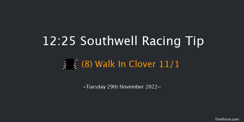 Southwell 12:25 Handicap Chase (Class 4) 20f Tue 22nd Nov 2022