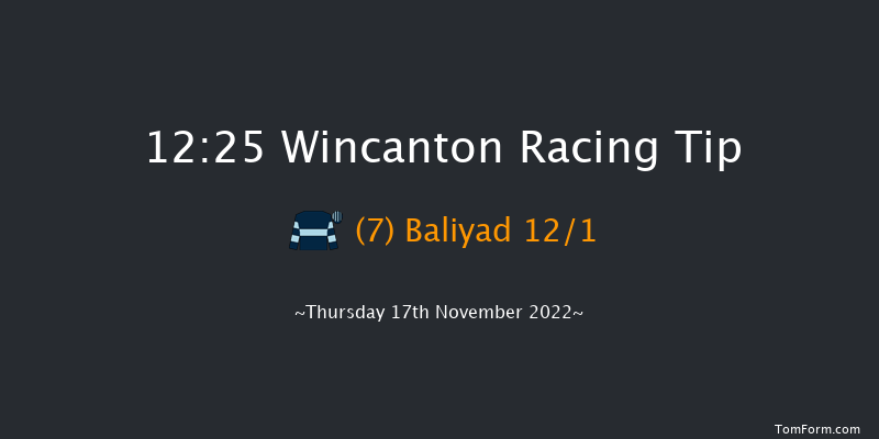 Wincanton 12:25 Handicap Hurdle (Class 5) 15f Sat 5th Nov 2022