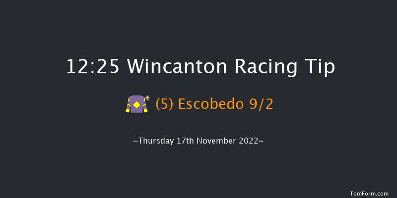 Wincanton 12:25 Handicap Hurdle (Class 5) 15f Sat 5th Nov 2022