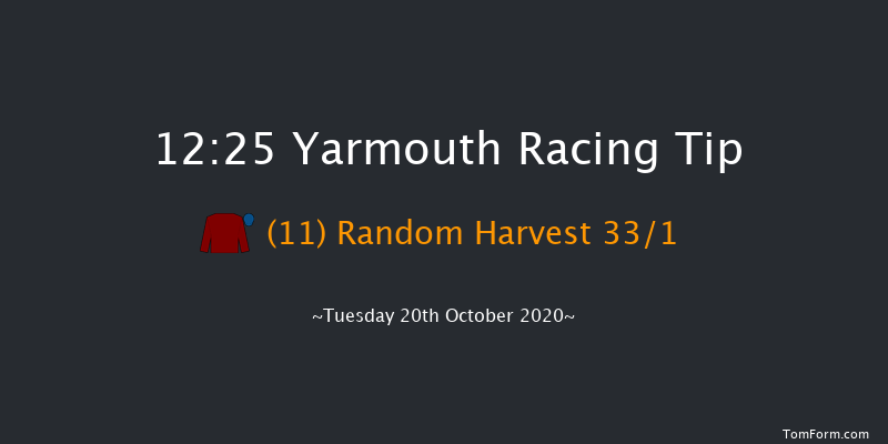 British Stallion Studs EBF Fillies' Novice Stakes (Plus 10/GBB Race) Yarmouth 12:25 Stakes (Class 4) 8f Mon 12th Oct 2020