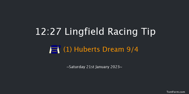 Lingfield 12:27 Handicap (Class 4) 6f Sat 14th Jan 2023