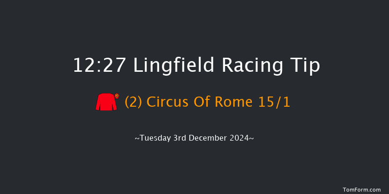 Lingfield  12:27 Maiden (Class 5) 8f Thu 28th Nov 2024