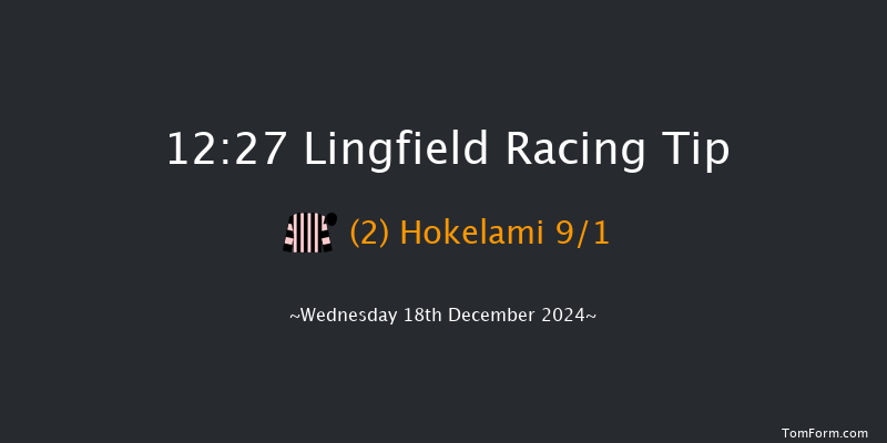 Lingfield  12:27 Handicap Chase (Class 5) 16f Wed 4th Dec 2024