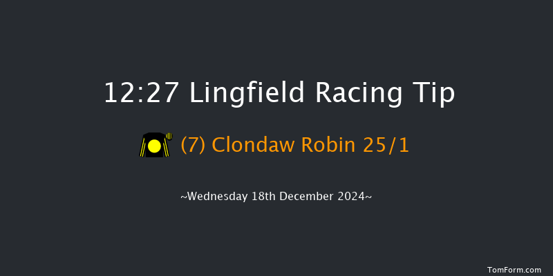 Lingfield  12:27 Handicap Chase (Class 5) 16f Wed 4th Dec 2024