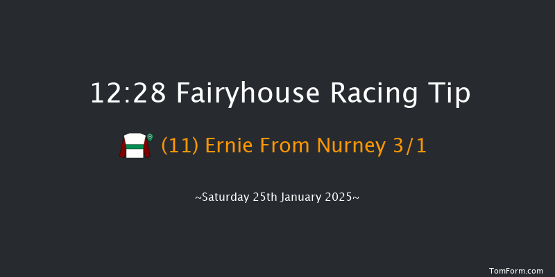 Fairyhouse  12:28 Handicap Chase 17f Thu 16th Jan 2025