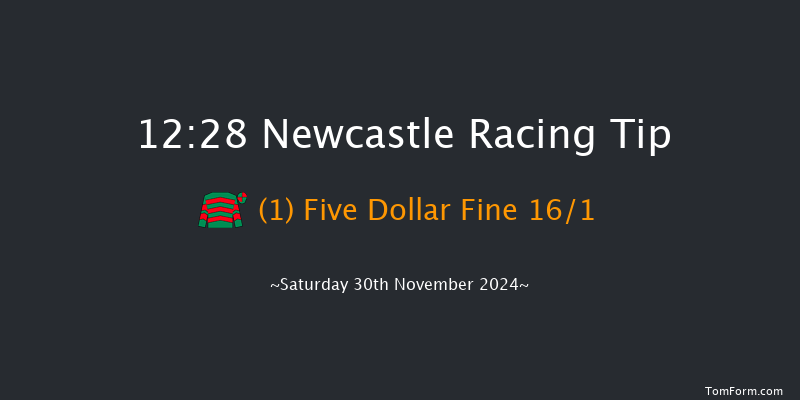 Newcastle  12:28 Handicap Chase (Class 4) 20f Sat 23rd Nov 2024