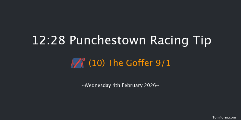 Punchestown 12:28 24f Mon 26th Jan 2026