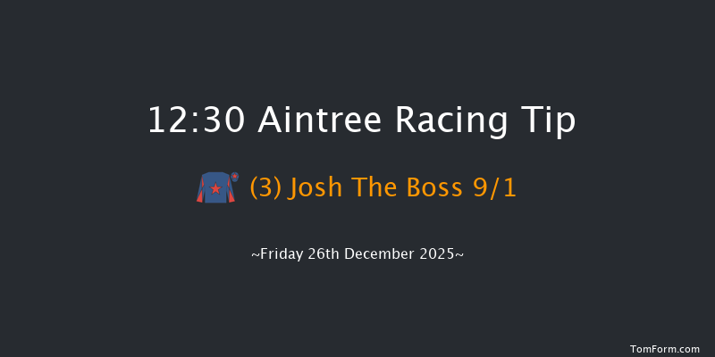 Aintree 12:30 (Class 2) 19f Sat 6th Dec 2025