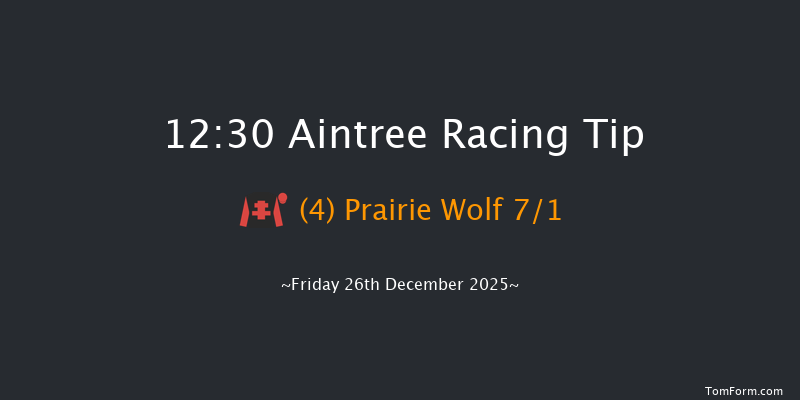 Aintree 12:30 (Class 2) 19f Sat 6th Dec 2025