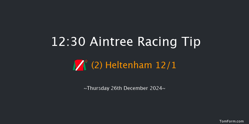 Aintree  12:30 Handicap Chase (Class 2) 20f Sat 9th Nov 2024