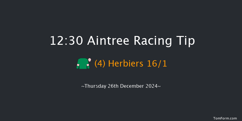 Aintree  12:30 Handicap Chase (Class 2) 20f Sat 9th Nov 2024