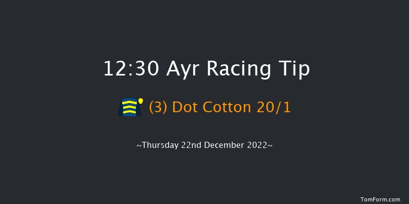 Ayr 12:30 Handicap Hurdle (Class 5) 16f Tue 29th Nov 2022