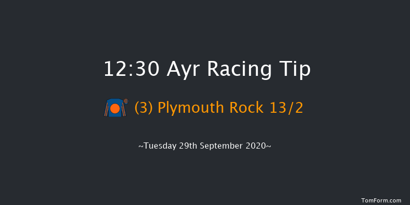 Jordan Electrics Apprentice Handicap Ayr 12:30 Handicap (Class 4) 8f Sat 19th Sep 2020