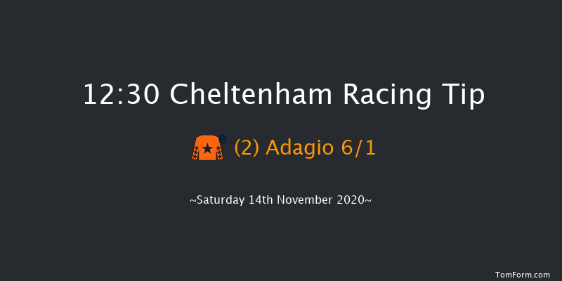 JCB Triumph Trial Juvenile Hurdle (Registered As The Prestbury Juvenile Hurdle) (Grade 2) (GBB Race) Cheltenham 12:30 Conditions Hurdle (Class 1) 
16f Fri 13th Nov 2020