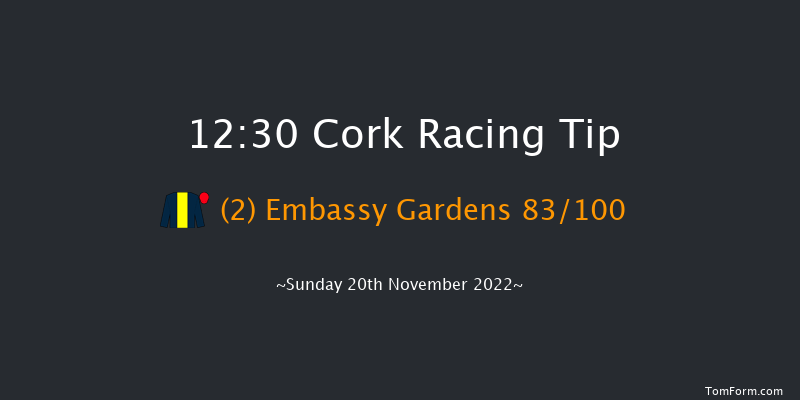 Cork 12:30 Maiden Hurdle 16f Sun 6th Nov 2022