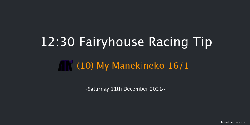 Fairyhouse 12:30 Handicap Chase 16f Sun 28th Nov 2021