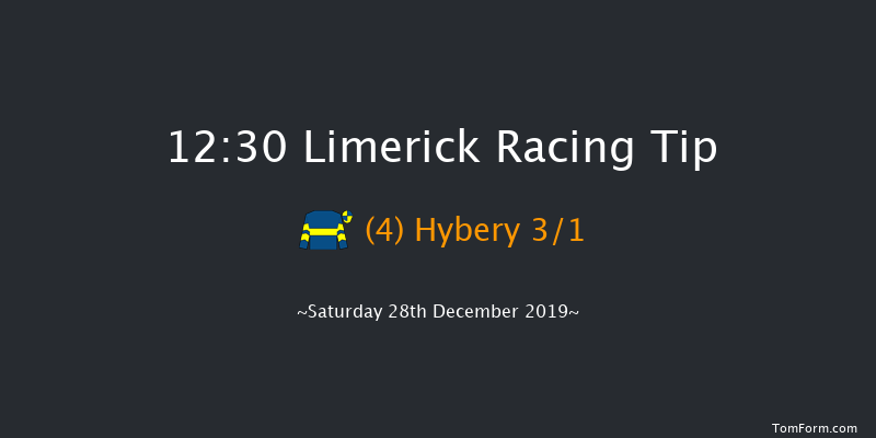 Limerick 12:30 Maiden Hurdle 16f Fri 27th Dec 2019