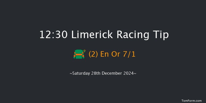 Limerick  12:30 Maiden Hurdle 16f Fri 27th Dec 2024