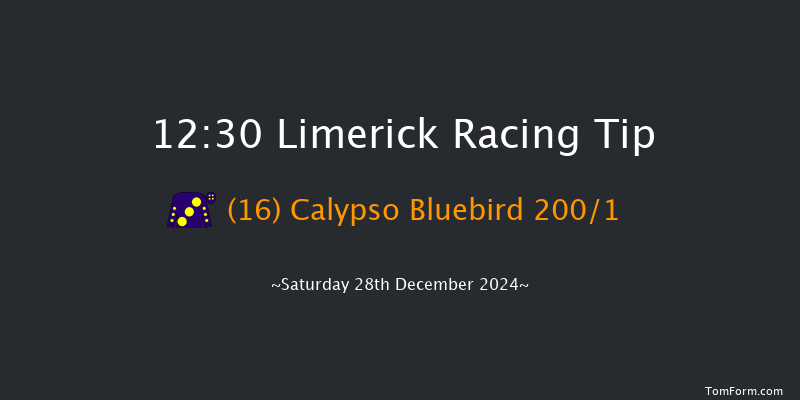 Limerick  12:30 Maiden Hurdle 16f Fri 27th Dec 2024