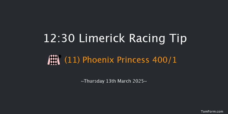 Limerick  12:30 Conditions Hurdle 16f Tue 28th Jan 2025
