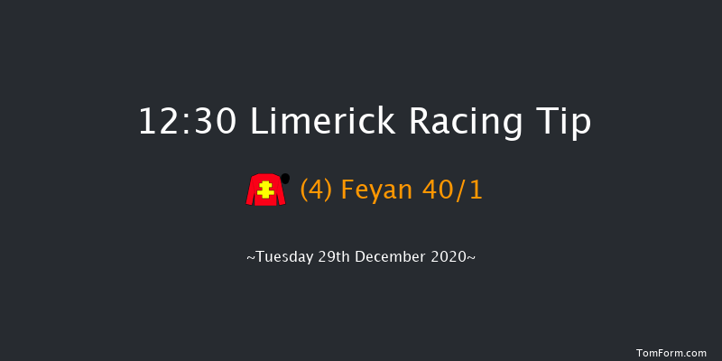 Limerick Racecourse Vets Mares Beginners Chase Limerick 12:30 Maiden Chase 20f Mon 28th Dec 2020