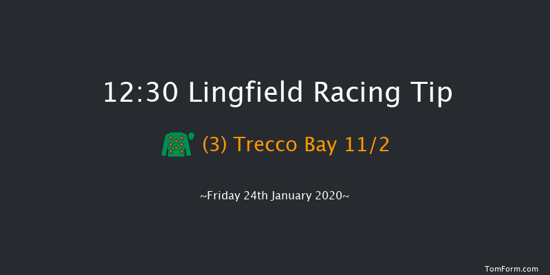 Lingfield 12:30 Handicap (Class 6) 8f Wed 22nd Jan 2020