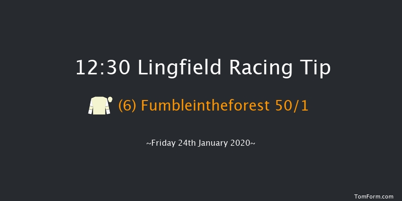 Lingfield 12:30 Handicap (Class 6) 8f Wed 22nd Jan 2020