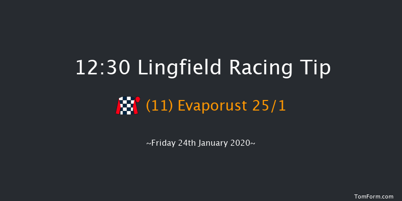 Lingfield 12:30 Handicap (Class 6) 8f Wed 22nd Jan 2020