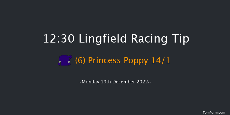 Lingfield 12:30 Stakes (Class 5) 16f Sat 17th Dec 2022