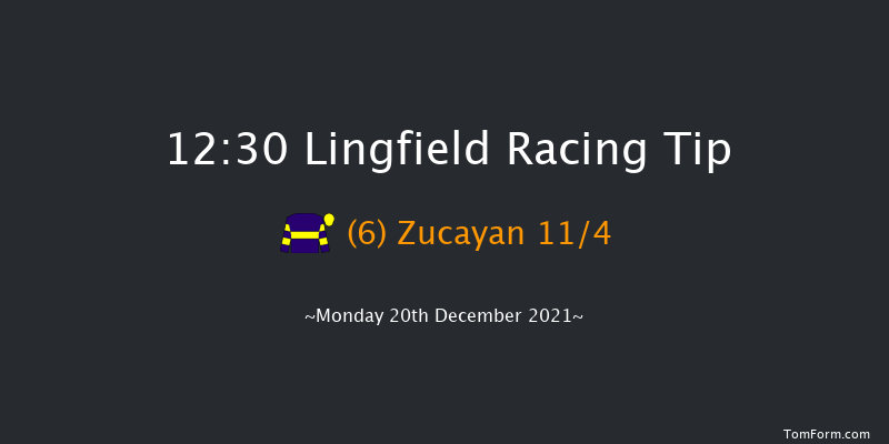 Lingfield 12:30 Stakes (Class 5) 16f Sat 18th Dec 2021