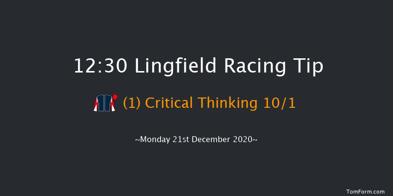 Bombardier British-Hopped Amber Beer Handicap Lingfield 12:30 Handicap (Class 6) 8f Sat 19th Dec 2020