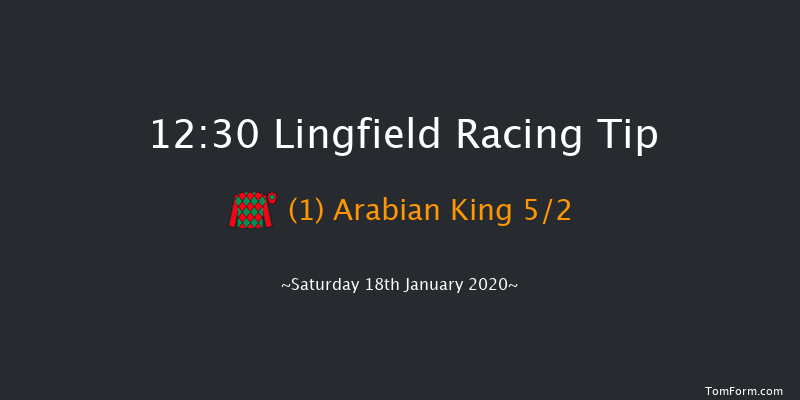 Lingfield 12:30 Handicap (Class 6) 10f Fri 17th Jan 2020