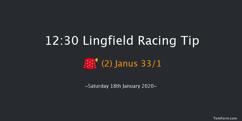 Lingfield 12:30 Handicap (Class 6) 10f Fri 17th Jan 2020